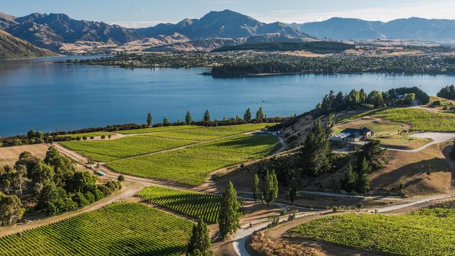 Rippon vineyards on Lake Wanaka, Otago, New Zealand credit: Eckhard Supp / Alamy Stock