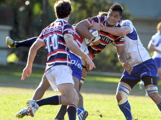 Tala Gray in action for Easts against Eastwood in the Shute Shield rugby at Woollahra Oval. Picture: Craig Wilson