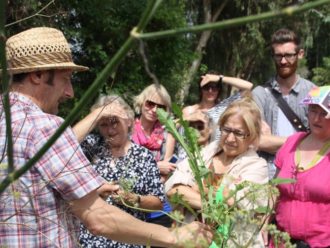 Diego Bonetto’s Edible Plants and Medicinal Plants food tours. Supplied