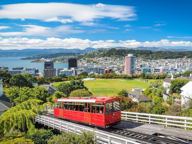 Wielga may have travelled to Wellington. Photo: iStock