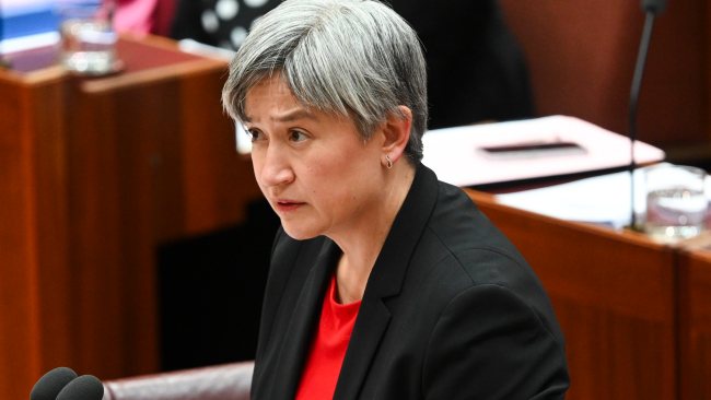 Penny Wong calls for ‘humanitarian pauses’ in Gaza despite hundreds of ...