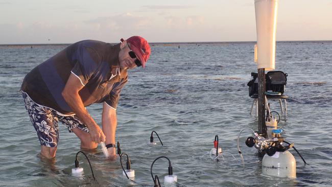 Professor Bradley Eyre samples benthic chambers at Heron Island.