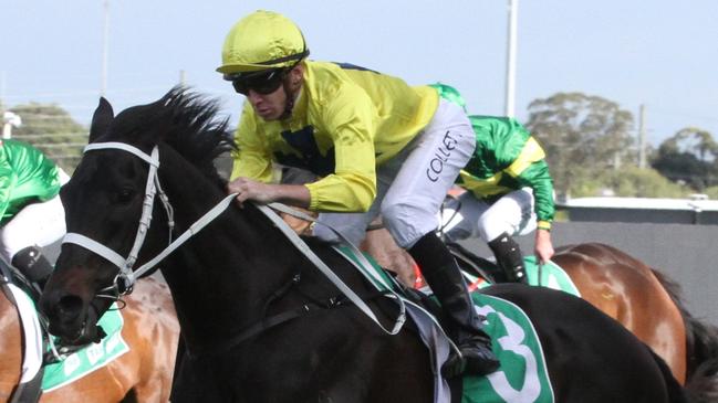 Tony Be scored a good win over the Rosehill 1800m last start and looks tough to beat again. Picture: Grant Guy