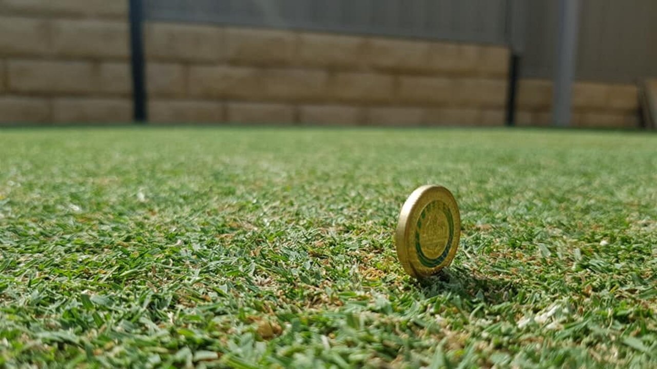 Get the perfect lawn with Adelaide s lawn kings The Advertiser