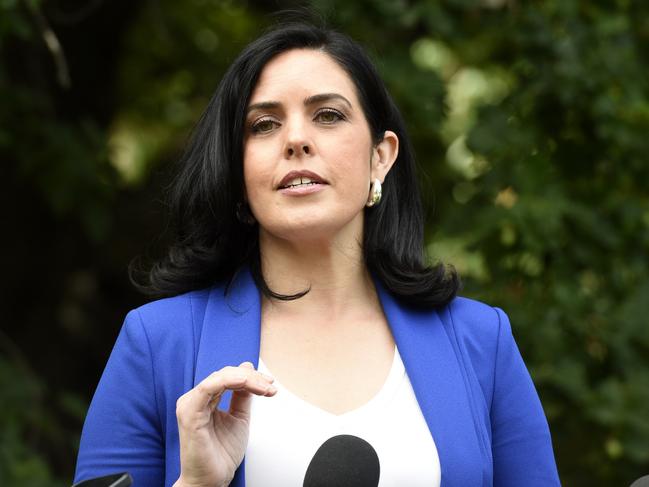 Pesutto was found to have defamed Moira Deeming. Picture: Andrew Henshaw