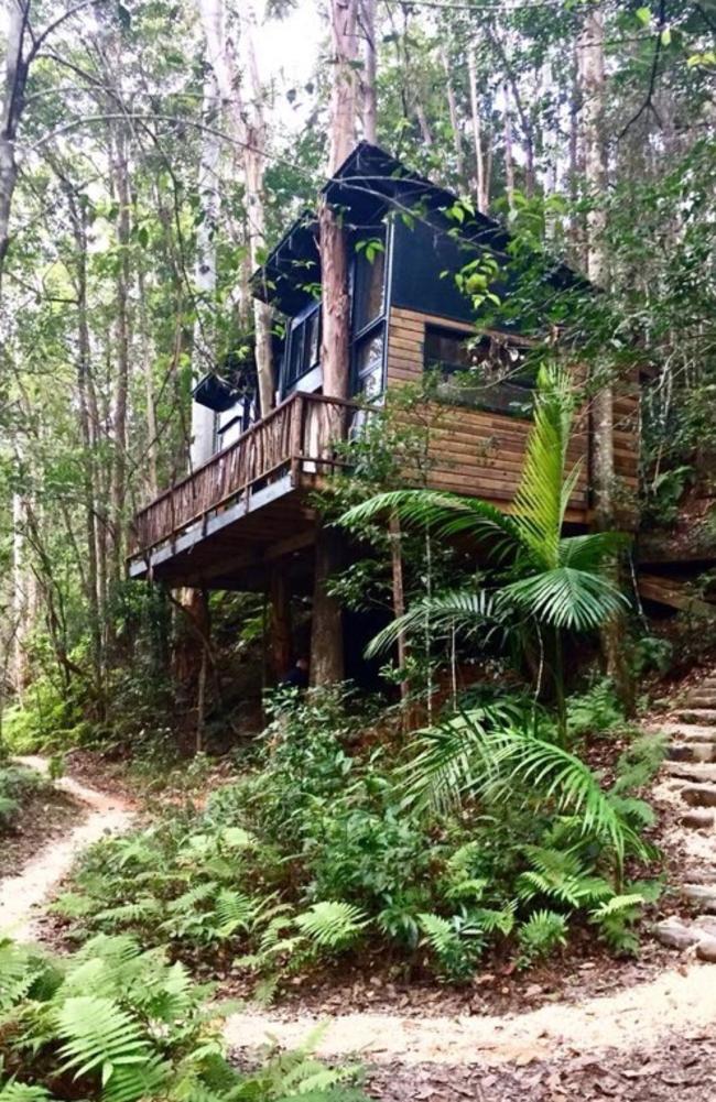 The treehouse built on government-owned near Murray Arthur Taylor’s Upper Crystal Creek property in Northern NSW.