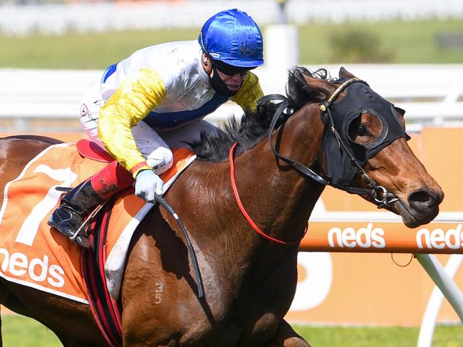 Pinyin ridden by Craig Williams wins the Glynn Bramich Memorial Hcp  at Caulfield Racecourse on September 26, 2020 in Caulfield, Australia. (Natasha Morello/Racing Photos via Getty Images)