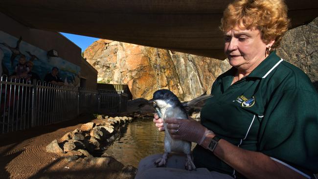 Dorothy Longden at the centre. Picture: Supplied