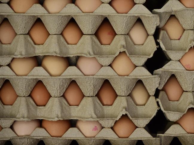 Why major egg farm plans to build new workers’ accommodation