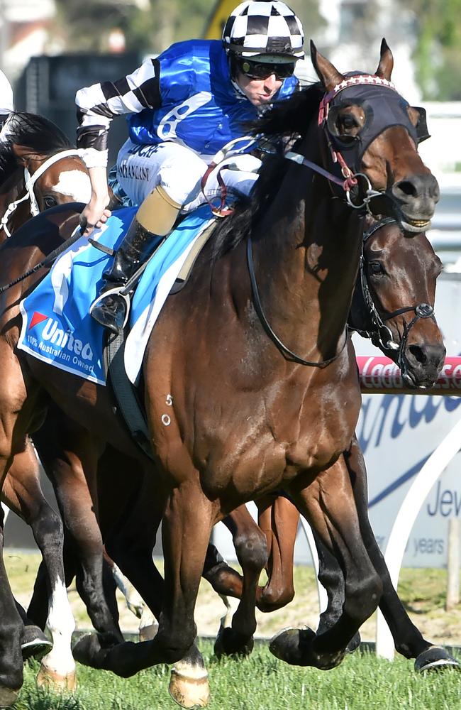 Tosen Stardom and Damian Lane combine to land the Group 1 Toorak Handicap. Picture: Jay Town