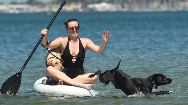 Holly Raap takes her dogs, Luna and Vee paddle boarding at Port Melbourne beach. Picture: Tony Gough