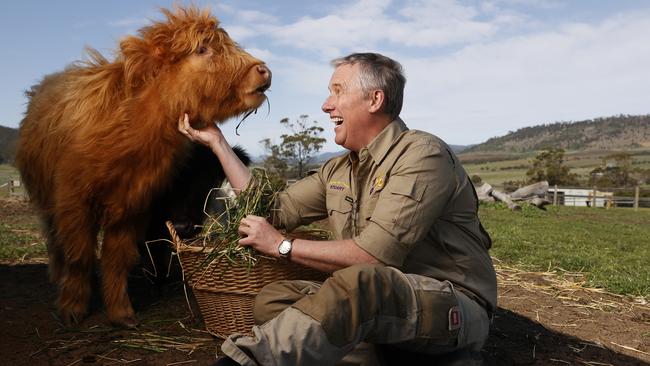 Stuart Webster the new owner of Zoodoo Zoo near Richmond with the new miniature highland cows. Stuart plans to spend $5 million over the next five years redeveloping the zoo. Picture: Nikki Davis-Jones