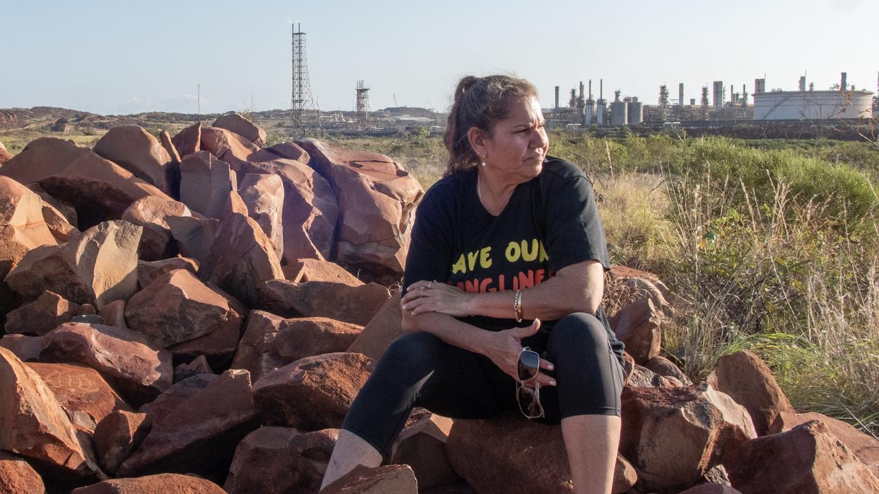 Activist throws Shelf spanner in Watt’s works