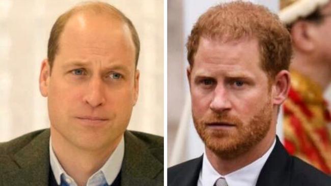 Prince Harry and Prince William