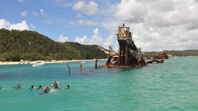 Dolphin Wild Island Cruises in Moreton Bay.