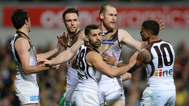 Jarryd Roughead has been appointed Hawthorn’s new skipper. Picture: Daniel Wilkins