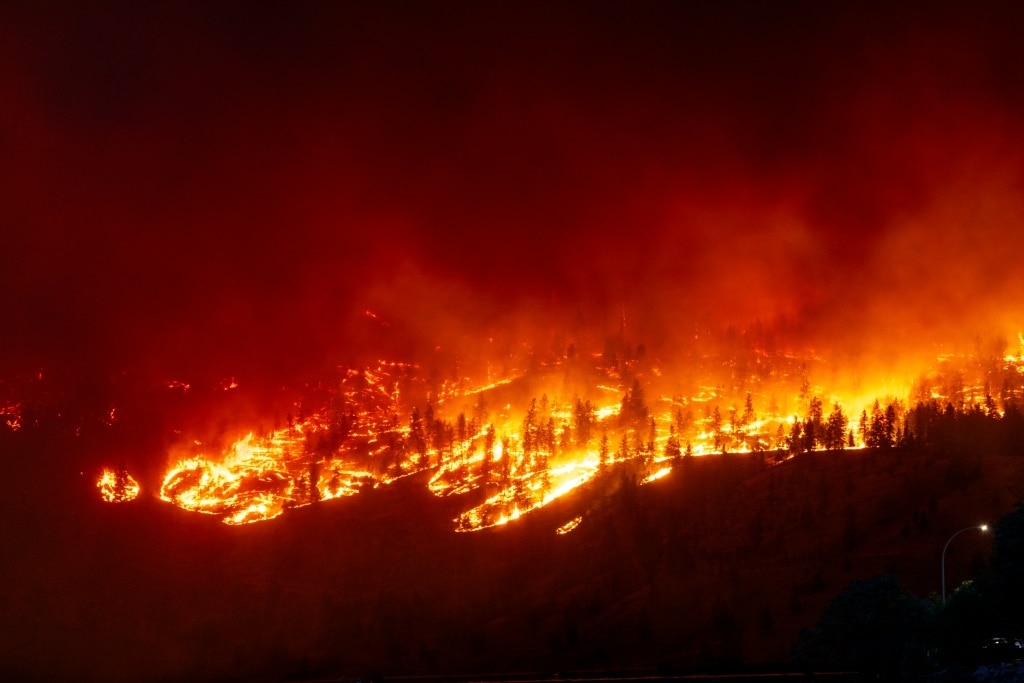 The McDougall Creek wildfire burns in the hills of West Kelowna, British Columbia, Canada, on August 17, 2023