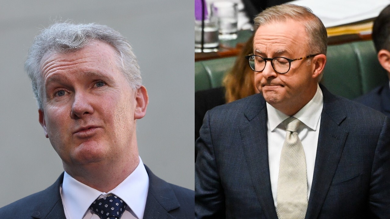 'Labor's Holy Grail': Burke and Albanese to 'marshal' IR reforms through parliament