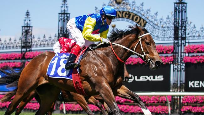 See You In Heaven has won at Flemington before. Picture: Scott Barbour-Racing Photos via Getty Images