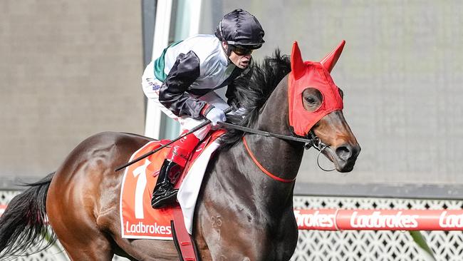 Mr Brightside will round out his Cox Plate preparation in the Group 1 Caulfield Stakes on October 12. Picture: Racing Photos via Getty Images