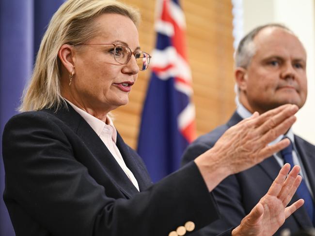 Ms Ley (with her deputy Ted O’Brien) faces an uphill battle as leader of the Opposition. Picture: NewsWire / Martin Ollman