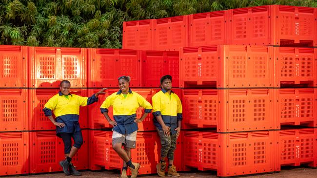 Seasonal workers from Vanuatu are already working on Territory properties, picking and packing mangoes. Charline Lolting, Annie Kintor and Bill Frazer Alling are among the workers at Arnhem Mangoes. Picture: Che Chorley