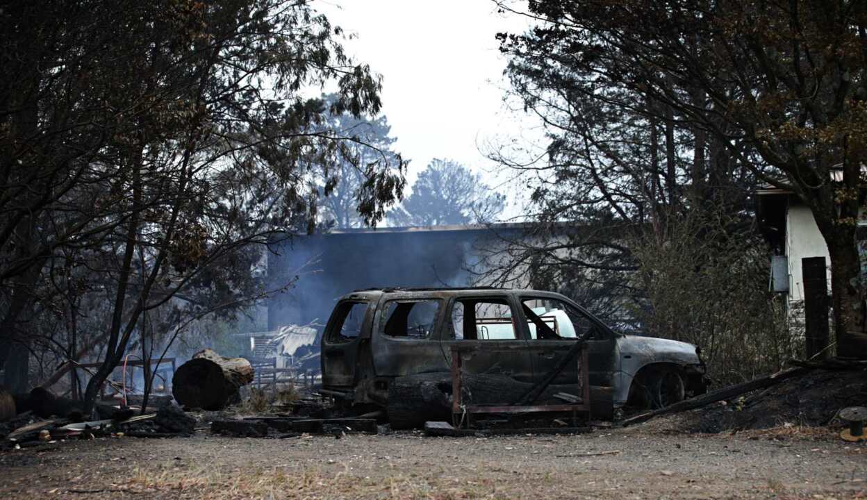 News Corp funds bushfire recovery effort