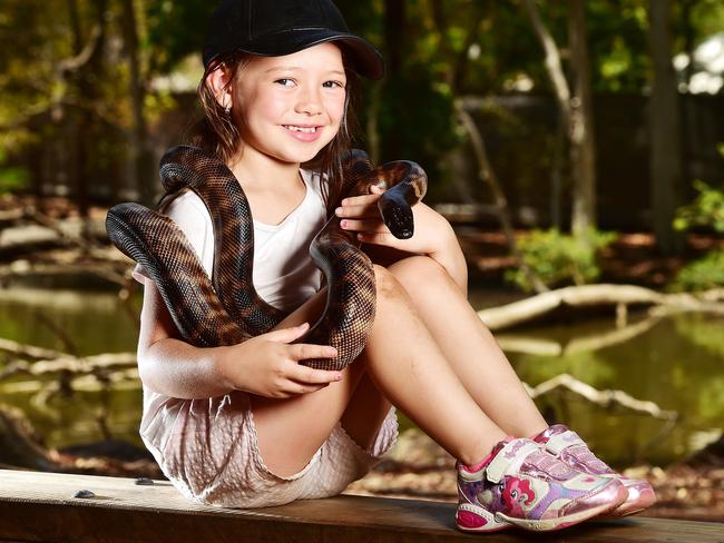 Kennedy Morrison, 6, from the Gold Coast holds Duke, the black headed Python at Billabong Sanctuary. Picture: Shae Beplate.