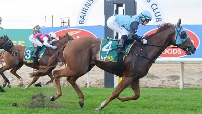 Superset was a cut above winning a Benchmark 58 at Bairnsdale four starts ago. Picture: Ross Holburt/Racing Photos via Getty Images