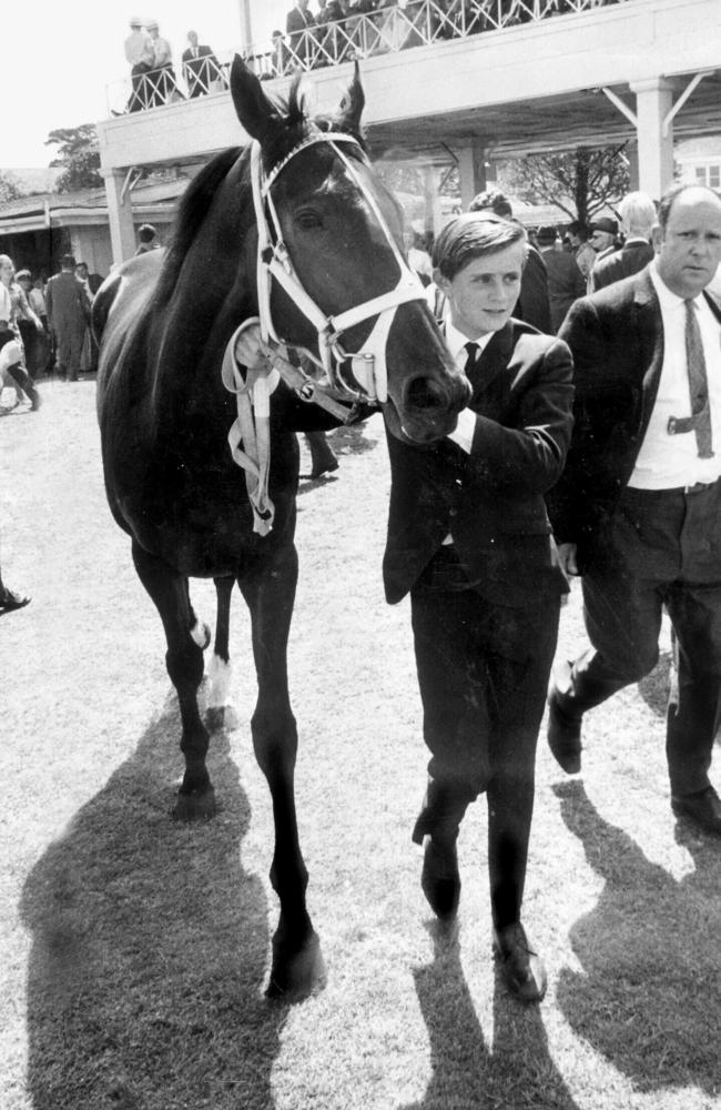 Big Philou after he was scratched from the 1969 Melbourne Cup.