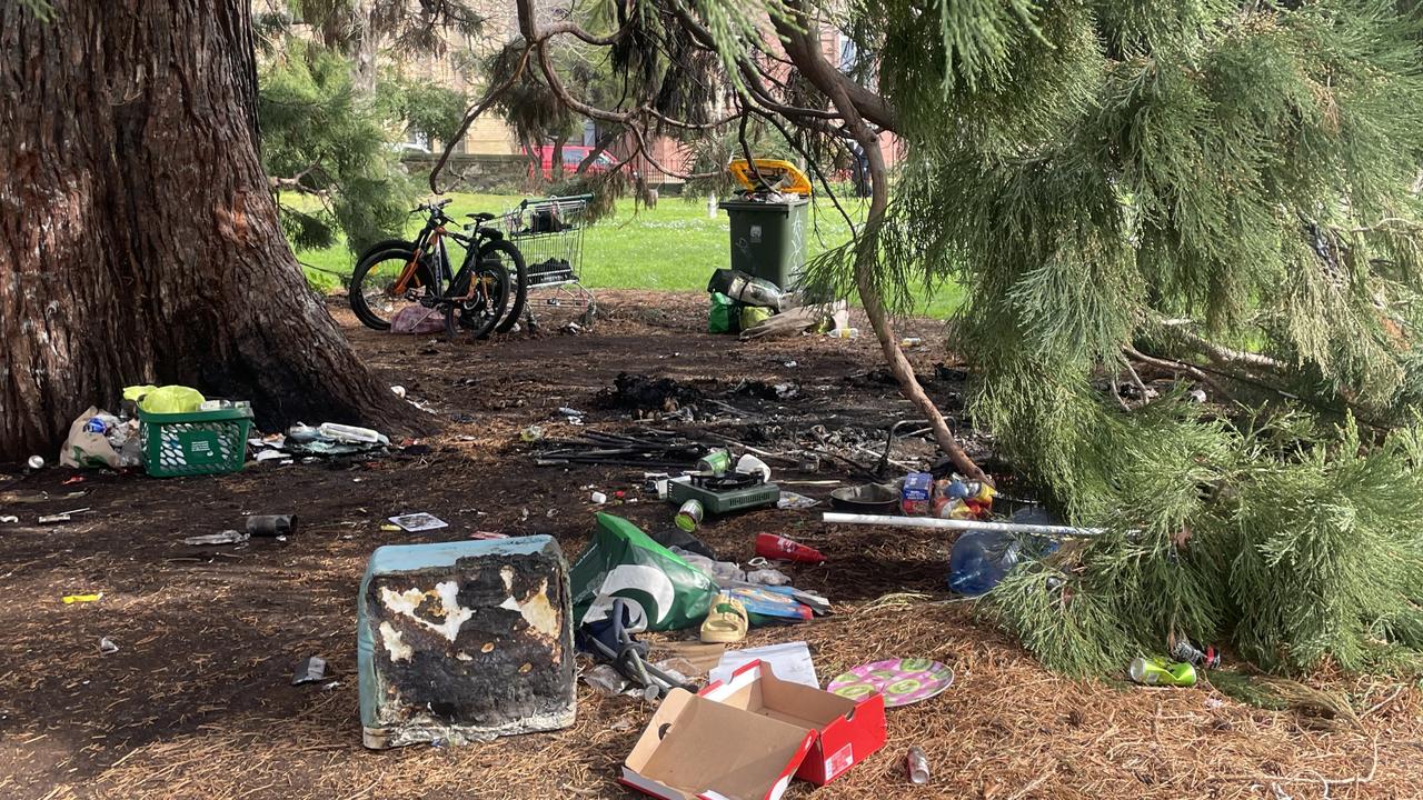 Damage to the possessions of people experiencing homelessness and the Giant Sequoia in St David's Park.