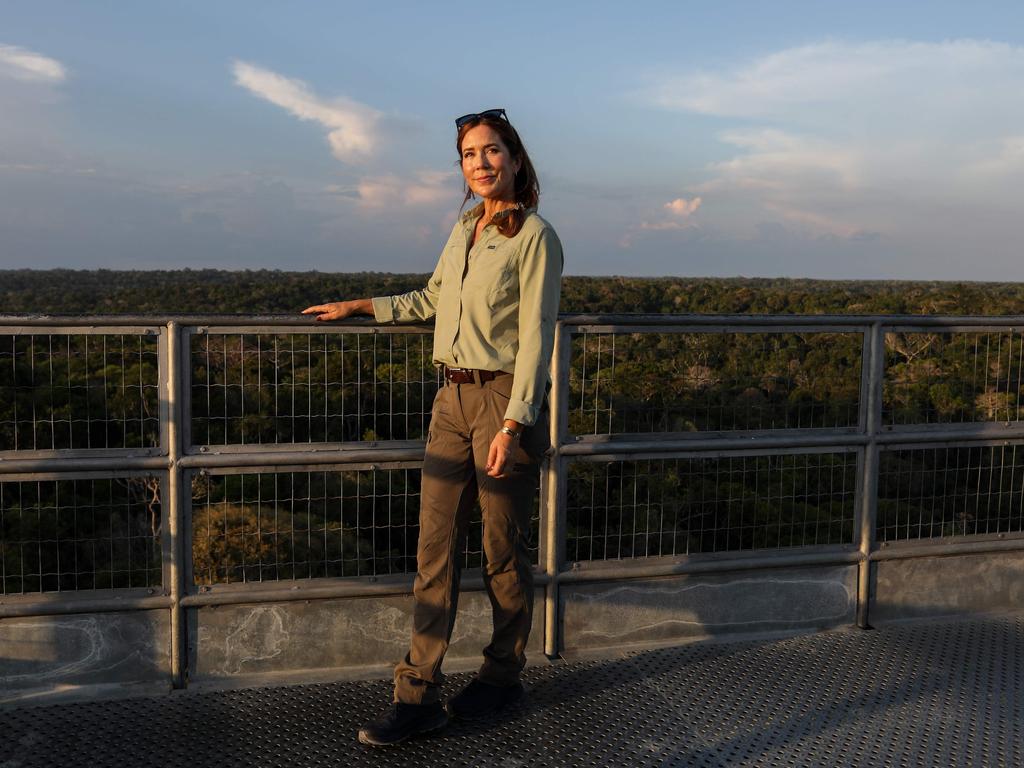 The Museum of the Amazon (MUSA) is located on a 100-hectare area of the Adolpho Ducke Forest Reserve on the outskirts of the city of Manaus, Brazil. Picture: AFP