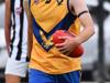 Wild footy fines list exposed as nude scandal erupts