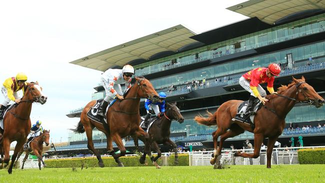 Mura Mura (left) finishes a creditable third to Tiger Of Malay on debut. Photo: Mark Evans/Getty Images