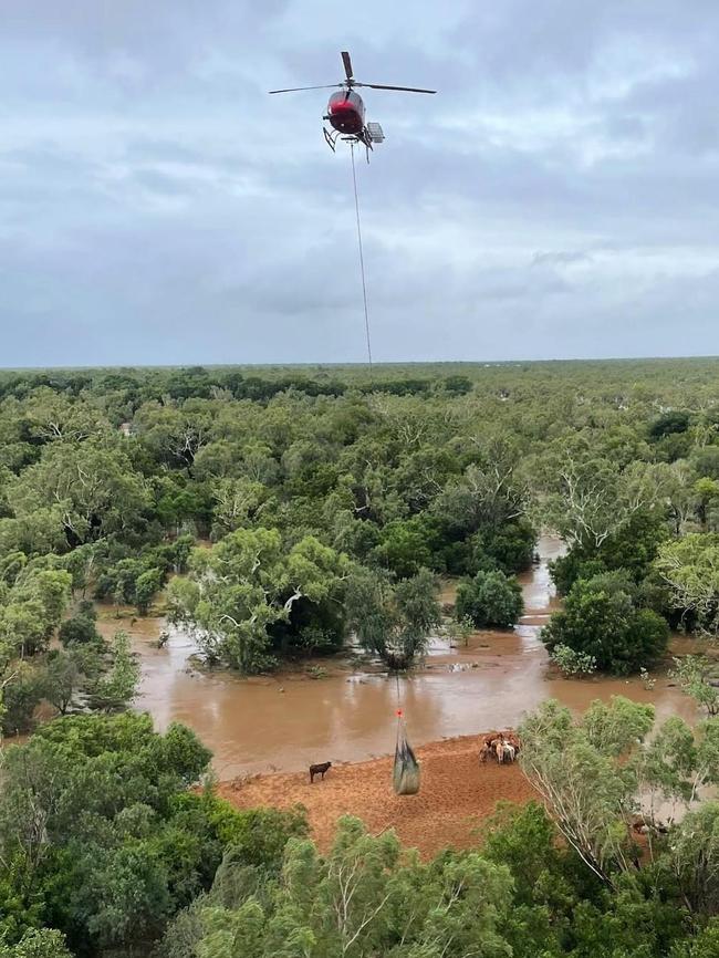 The charter company said the pilot was ‘highly experienced’. Picture: Facebook