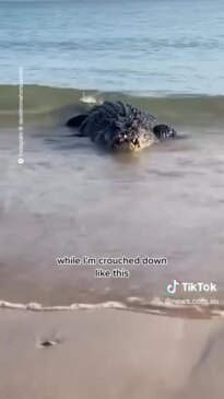 Why you shouldn't take risks in croc country