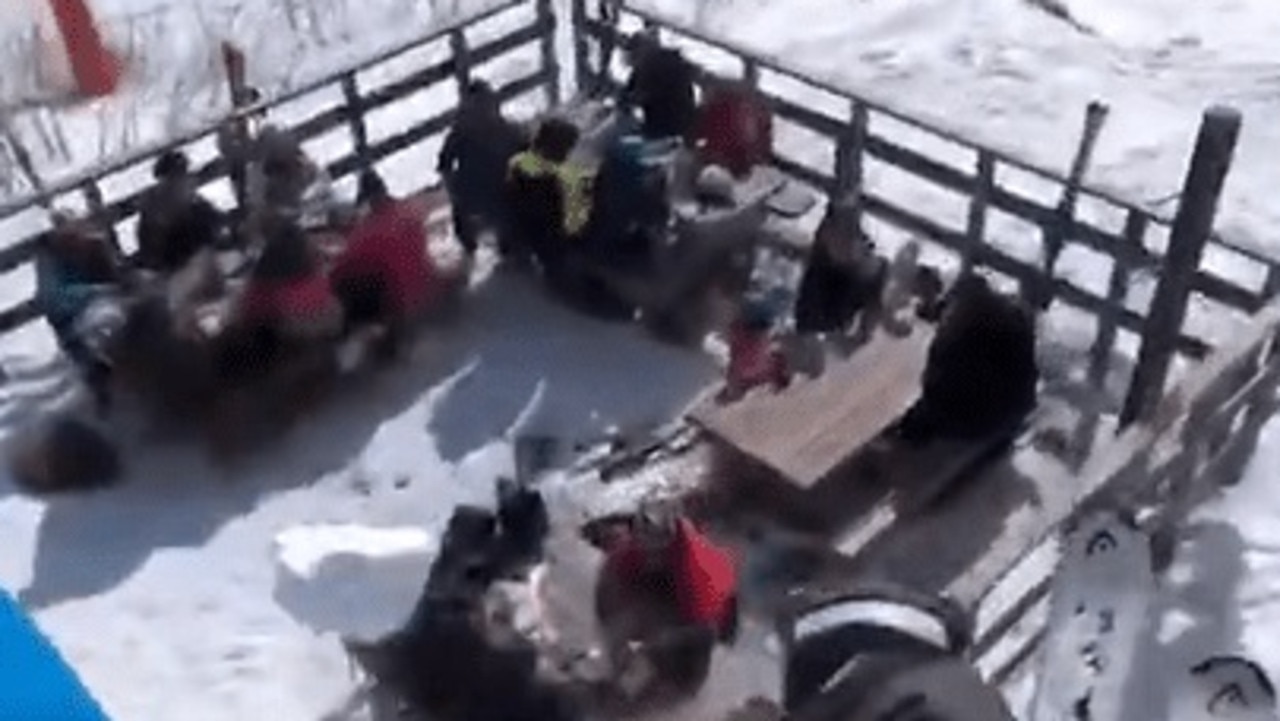 Skier’s shock stunt from chair lift goes viral