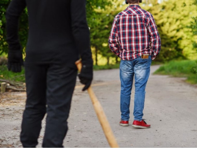 Ronald George Weilden, 20, pleaded guilty to assaults occasioning bodily harm while armed and in company, unlawful possession of a weapon, wilful damage, breach of bail condition, stealing, trespass, contravene a direction or requirement and possession of a knife in a public place when he faced Hervey Bay District Court on Friday.