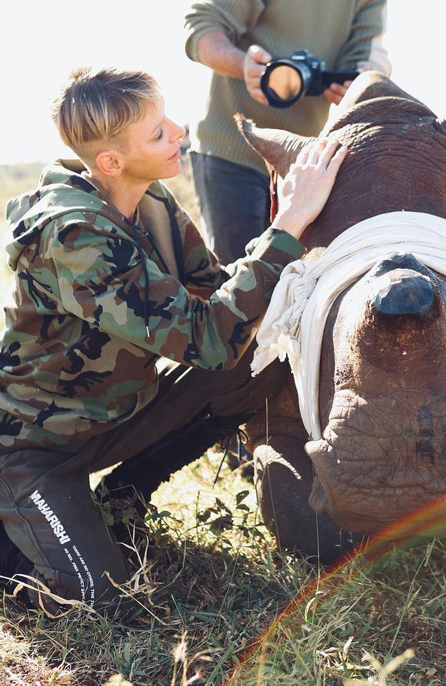 Charlene posed with a rhino which had had its horn removed to prevent poaching. Picture: Christian Sperka