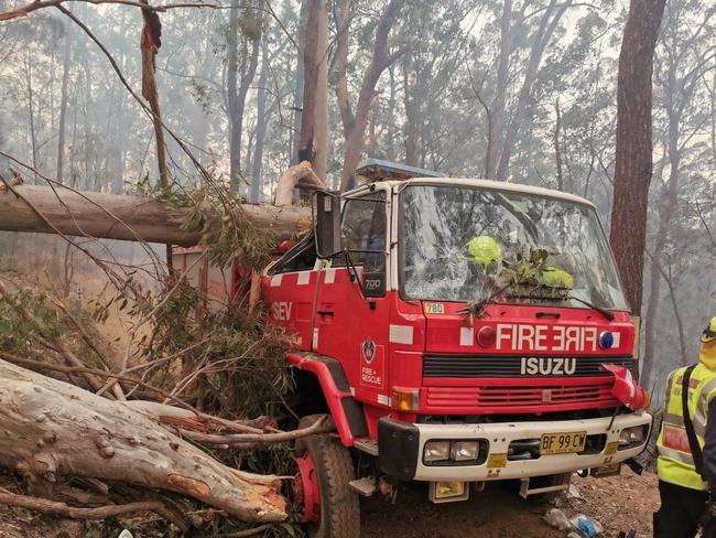 The 12-tonne tree crashed down onto the back of the cab. Picture: Supplied