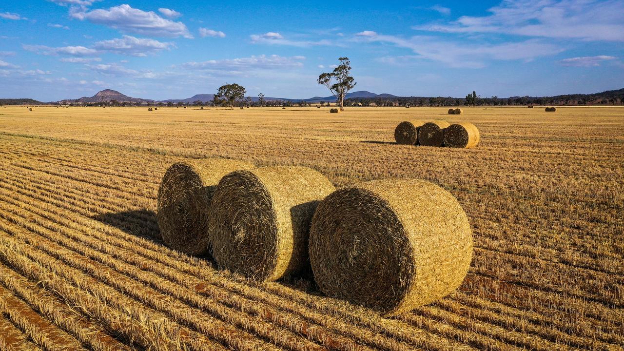 Agriculture Minister Adam Wallace said keeping the borders closed to agricultural workers would further exacerbate the financial strain on farmers from the drought. Photo by David Gray/Getty Images