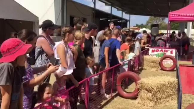  Piglet races at the Gold Coast Show. 