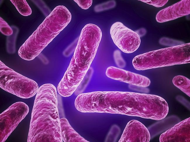 Legionella bacteria are usually found in water.