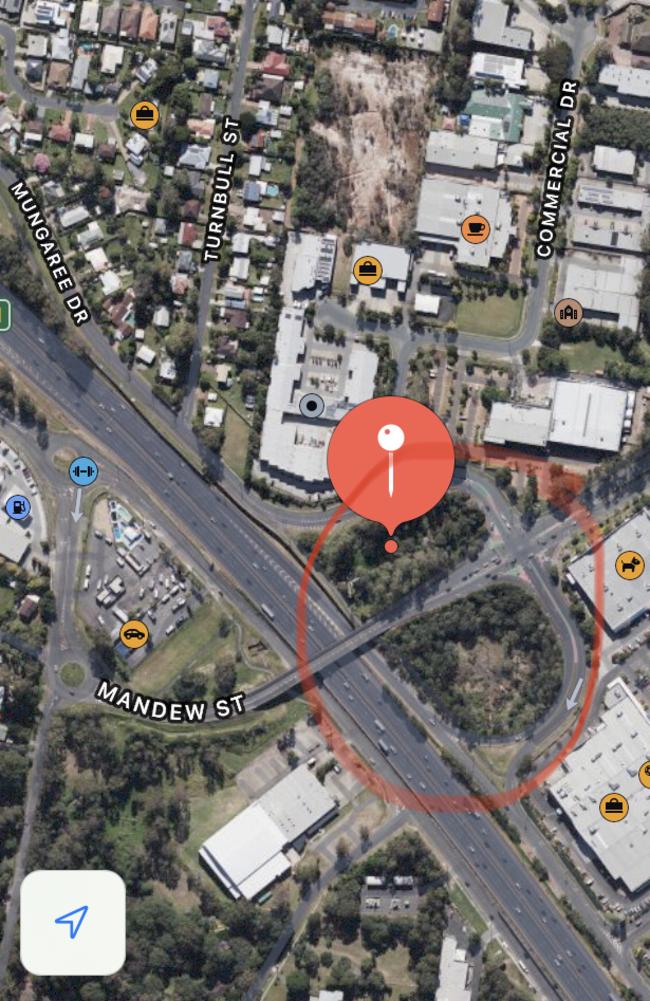 The Transport Department is reducing a protected ibis colony on land earmarked for the widening of the M1 in Logan, where land resumptions for the project are yet to be announced.