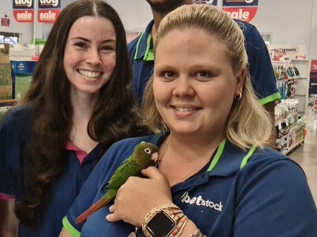 A $1200 rose crowned conure stolen from Petstock Darwin on Monday was returned to the shop on Thursday morning.