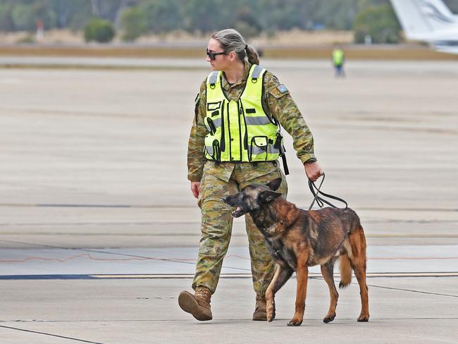 A military dog handler patrols during the Exercise Talisman Sabre 2021 opening ceremony at RAAF Base Amberley, near Ipswich. Picture: Zak Simmonds