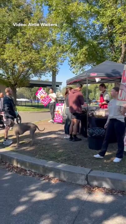 Democracy sizzles: Snag debate fires up near Richmond