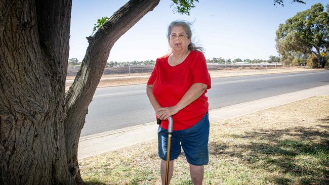 Cricket Fox 61yrs in her front yard with the backdrop of the Smithfield grass fire that burnt in a direction towards Boddington Street, Donnington Street and Konanda Road. Picture: Emma Brasier