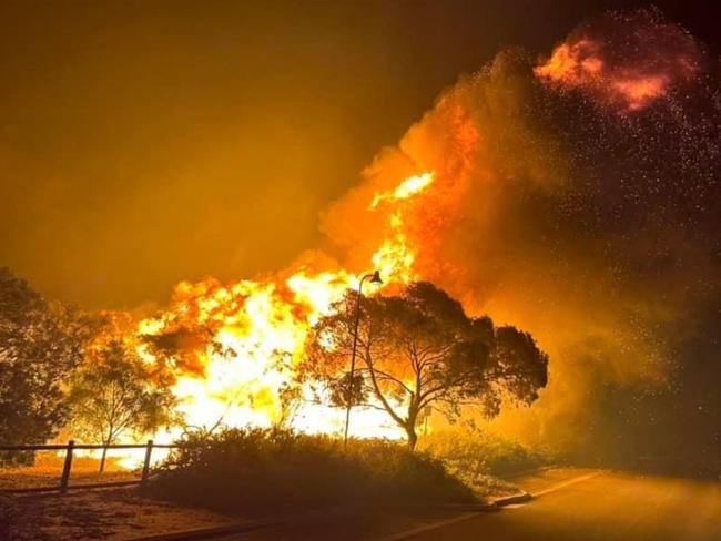 TOPSHOT - In this photo released by the Western Australia Department of Fire and Emergency Services (DFES) and received by AFP on November 23, 2023, shows flames of a bushfire burning north of the city of Perth. (Photo by Handout / WESTERN AUSTRALIA DEPARTMENT OF FIRE AND EMERGENCY SERVICES / AFP) / ----EDITORS NOTE ----RESTRICTED TO EDITORIAL USE MANDATORY CREDIT 