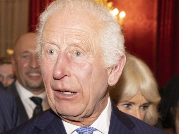 LONDON, ENGLAND - OCTOBER 02: Britain's King Charles III and Queen Camilla are greeted by a number of well-known members of the Commonwealth Diaspora including actress Cate Blanchett, singer Grace Jones, dancer Motshegetsi Mabuse-Voznyuk, rugby player Theodore McFarland, soprano Isabella Moore and singer Neil Finn during a reception to celebrate the Commonwealth, ahead of the Commonwealth Heads of Government Meeting in Samoa, at St. James's Palace on October 2, 2024 in London, England. The reception, for around 300 guests, will recognise and celebrate the huge contribution made by the Commonwealth. (Photo by Jeff Gilbert - WPA Pool/Getty Images)